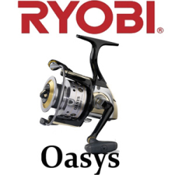 Ryobi Oasys