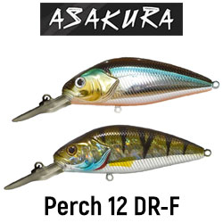 Asakura Perch 12 DR-F