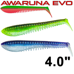 Pontoon21 Homunculures Awaruna Evo 4.0"