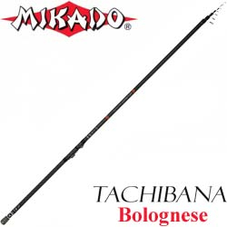 Mikado Tachibana Bolognese