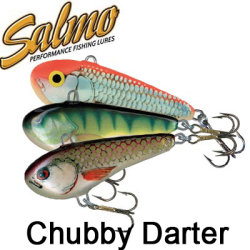 Salmo Chubby Darter