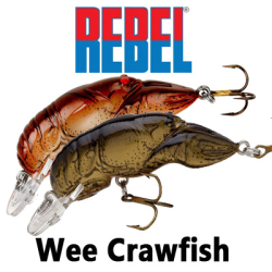 Rebel Wee Crawfish