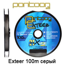 Pontoon21 Exteer 100m серый