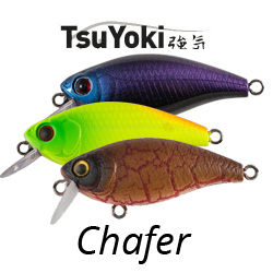 TsuYoki Chafer