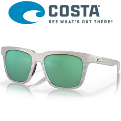 Costa Pescador 580G (Net Light Gray/Green Mirror 580G)