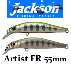 Jackson Artist FR 55мм 4гр.