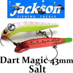 Jackson Dart Magic Salt 43мм 3гр.