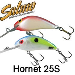 Salmo Hornet 25S