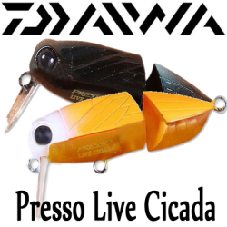 Daiwa Presso Live Cicada