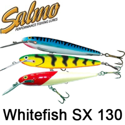 Salmo Whitefish SX 130