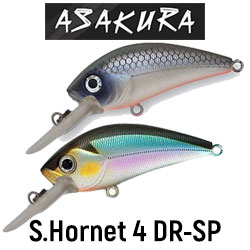 Asakura S.Hornet 4 DR-SP