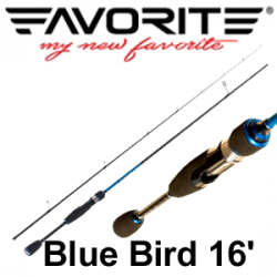 Favorite Blue Bird 2016