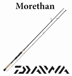 Daiwa Morethan 2014