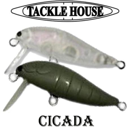 Tackle House Elfin Cicada