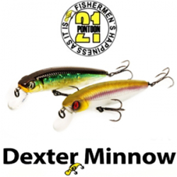 Pontoon21 Dexter Minnow