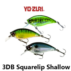 Yo-Zuri 3DB Squarelip Shallow (F) R1105