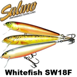 Salmo Whitefish SW18F