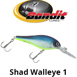 Bandit Shad Walleye 1