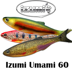 Izumi Umami 60