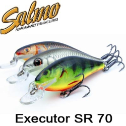 Salmo Executor SR 70