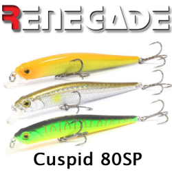 Renegade Cuspid 80SP