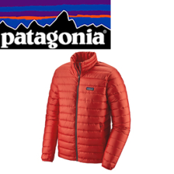 Patagonia M's Down Sweater HTE