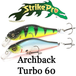 Strike Pro Archback Turbo 60 (EG-125DP)