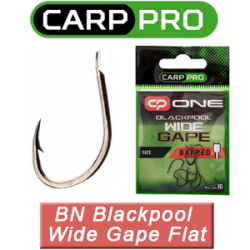 Carp Pro Black Nickel Blackpool Wide Gape Flat