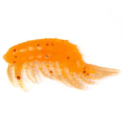 Силиконовая приманка Prizyor Gammarus 1" (25mm) цвет 004 Морковь