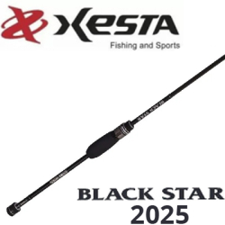 Xesta Black Star 2025