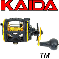 Kaida TM