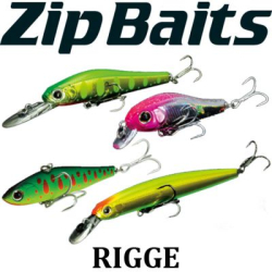 ZipBaits Rigge