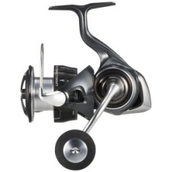 Катушка Daiwa 24 Luvias LT5000D-CXH (4550133389061)