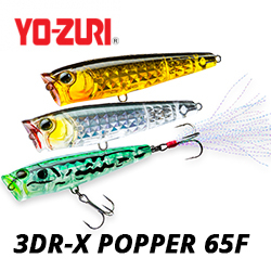 Yo-Zuri 3DR-X Popper 65F R1435