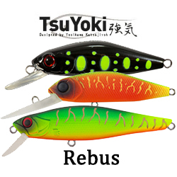 TsuYoki Rebus