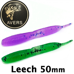 Avers Leech