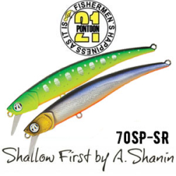 Pontoon21 Shallow First 70SP-SR 