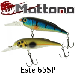 Mottomo Este 65SP