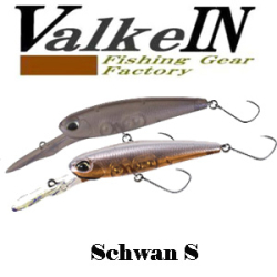 ValkeIN Schwan S