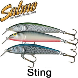 Salmo Sting