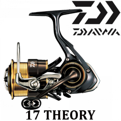 Daiwa 17 Theory