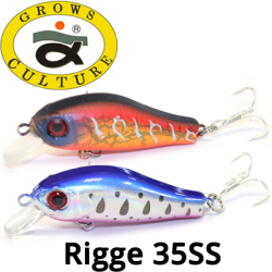 Grows Culture Rigge 35SS