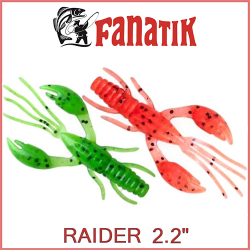 Fanatik Raider 2.2"