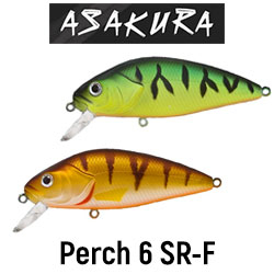 Asakura Perch 6 SR-F