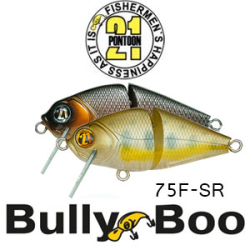 Pontoon21 BullyBoo 75F-SR 