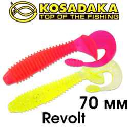 Kosadaka Revolt 70