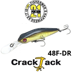 Pontoon21 Crackjack 48F-DR