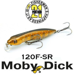 Pontoon21 Moby Dick 120F-SR 