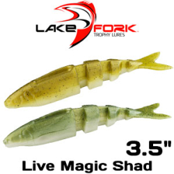 Lake Fork Live Magic Shad 3.5"