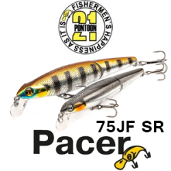 Pontoon21 Pacer 75JF SR 